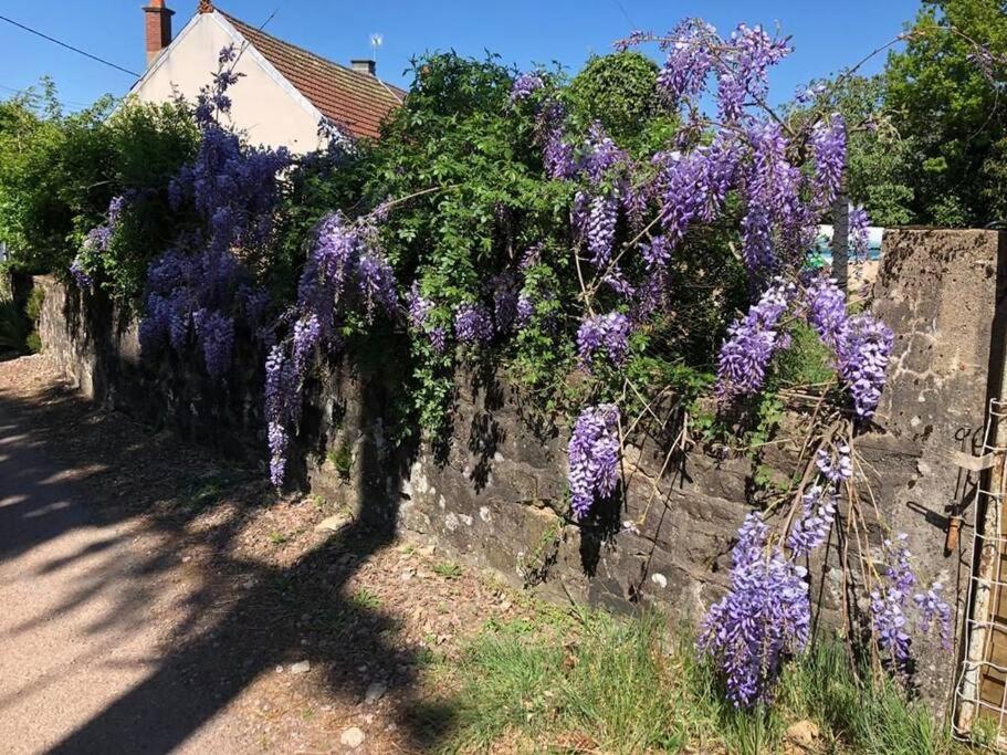 La Petite Maison D'Orphee Marmagne  Zewnętrze zdjęcie